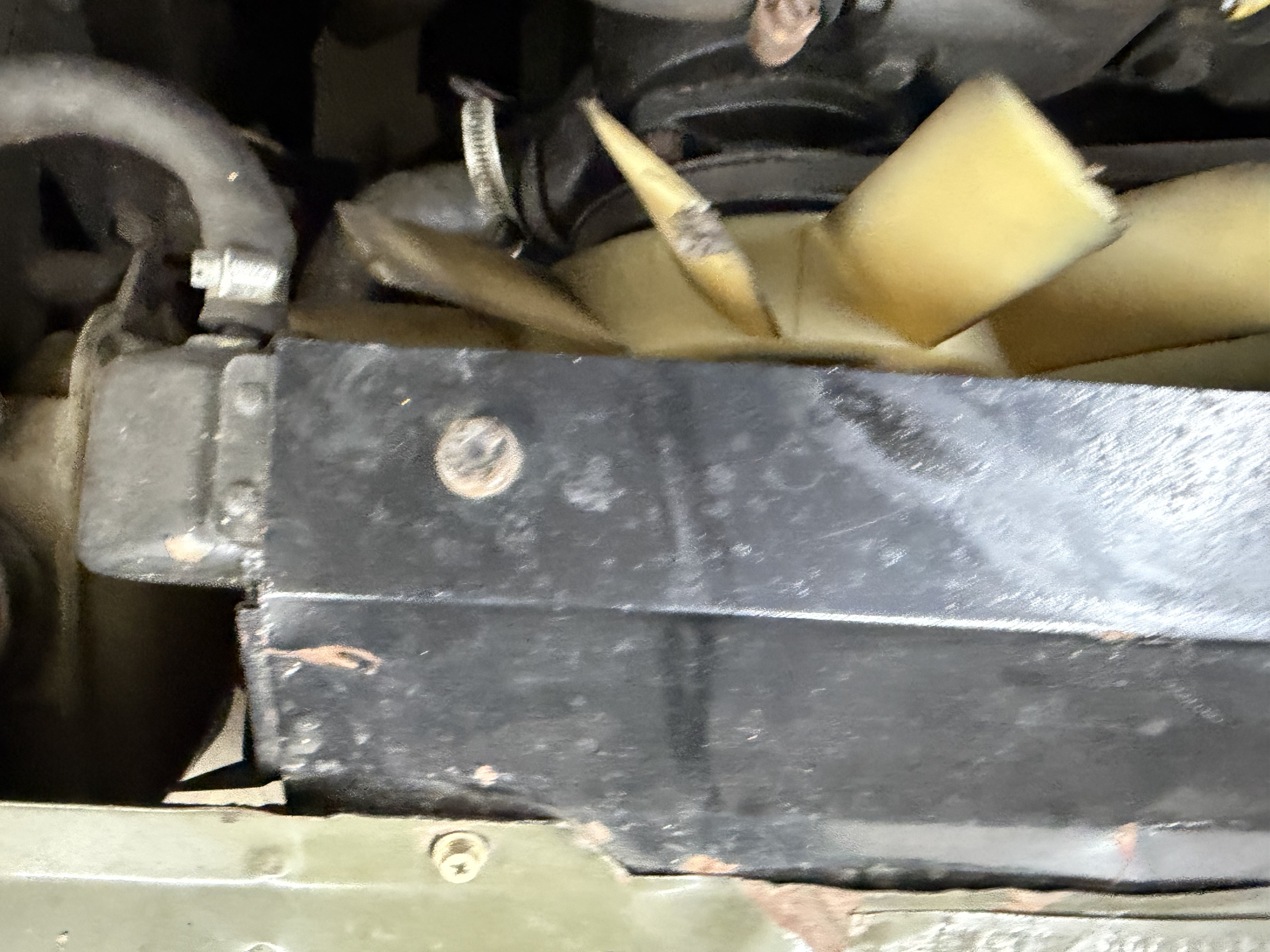 Owner close-up showing irregular, missing-looking material on several pale fan tips
