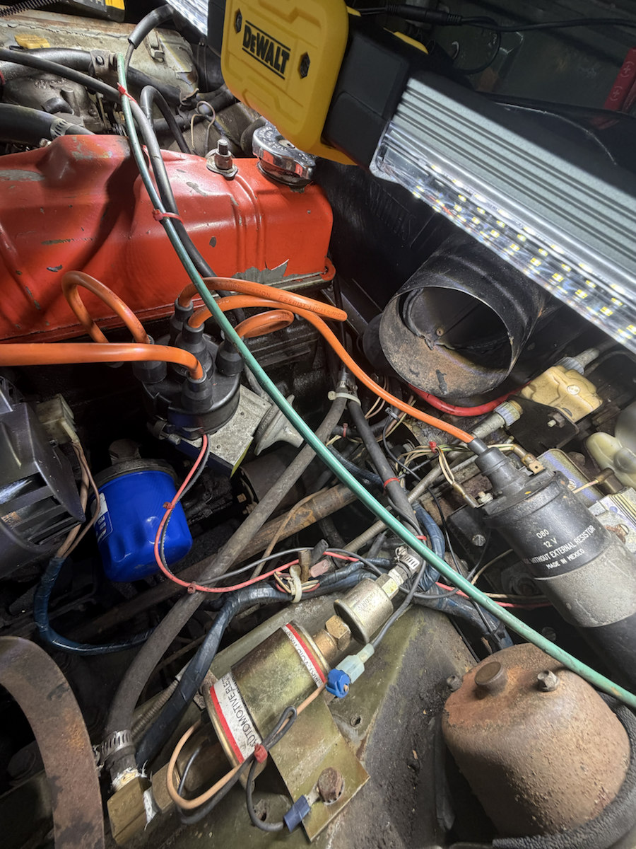 Owner's engine bay: black ignition coil beside the distributor and red rocker cover