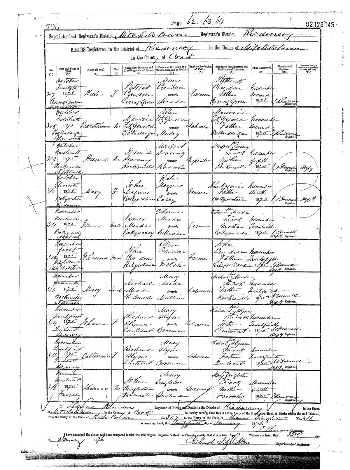 Civil birth register, Johanna Condon, 1 Nov 1875, Mitchelstown