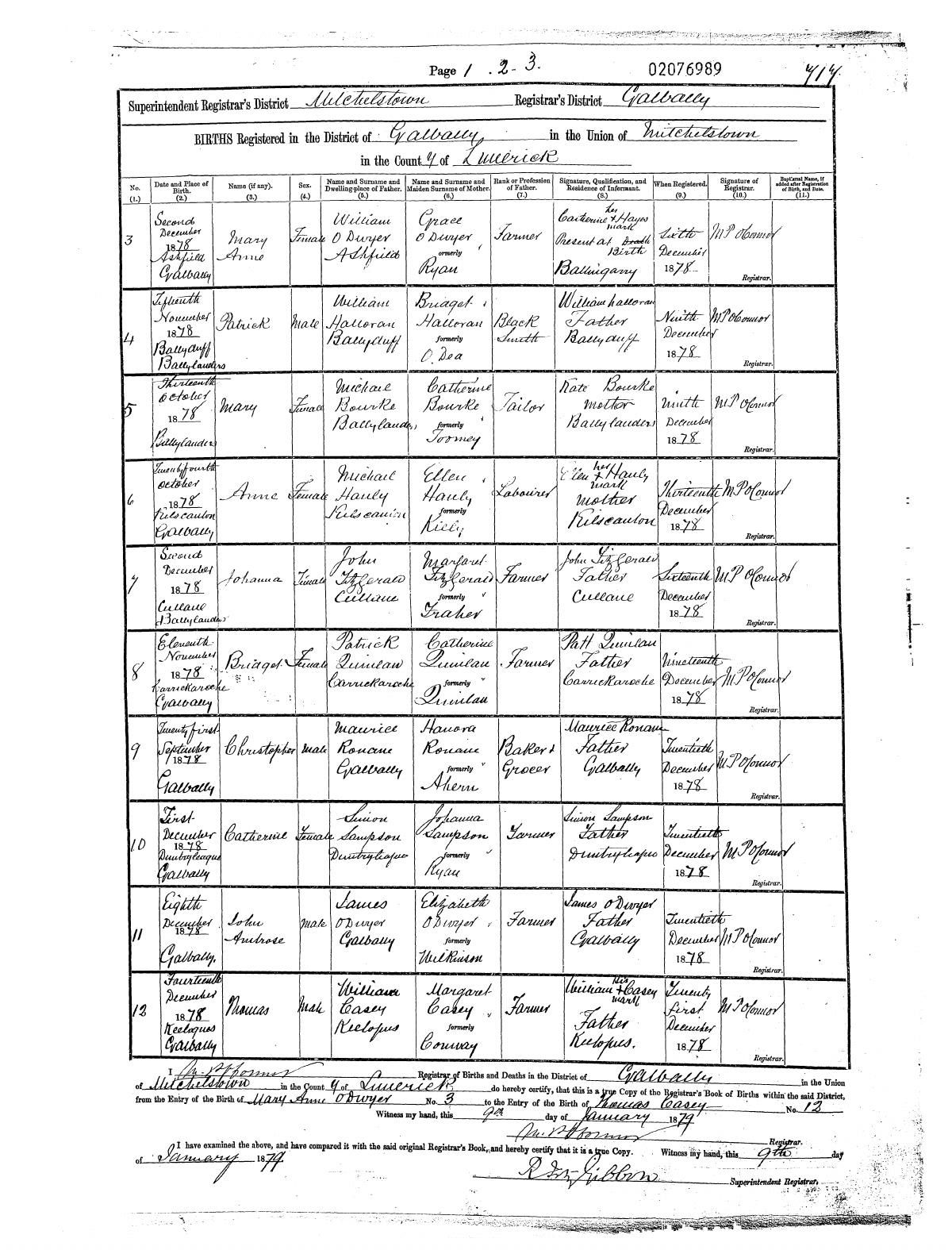 Civil birth register, Johanna Fitzgerald, 2 Dec 1878, Cullane