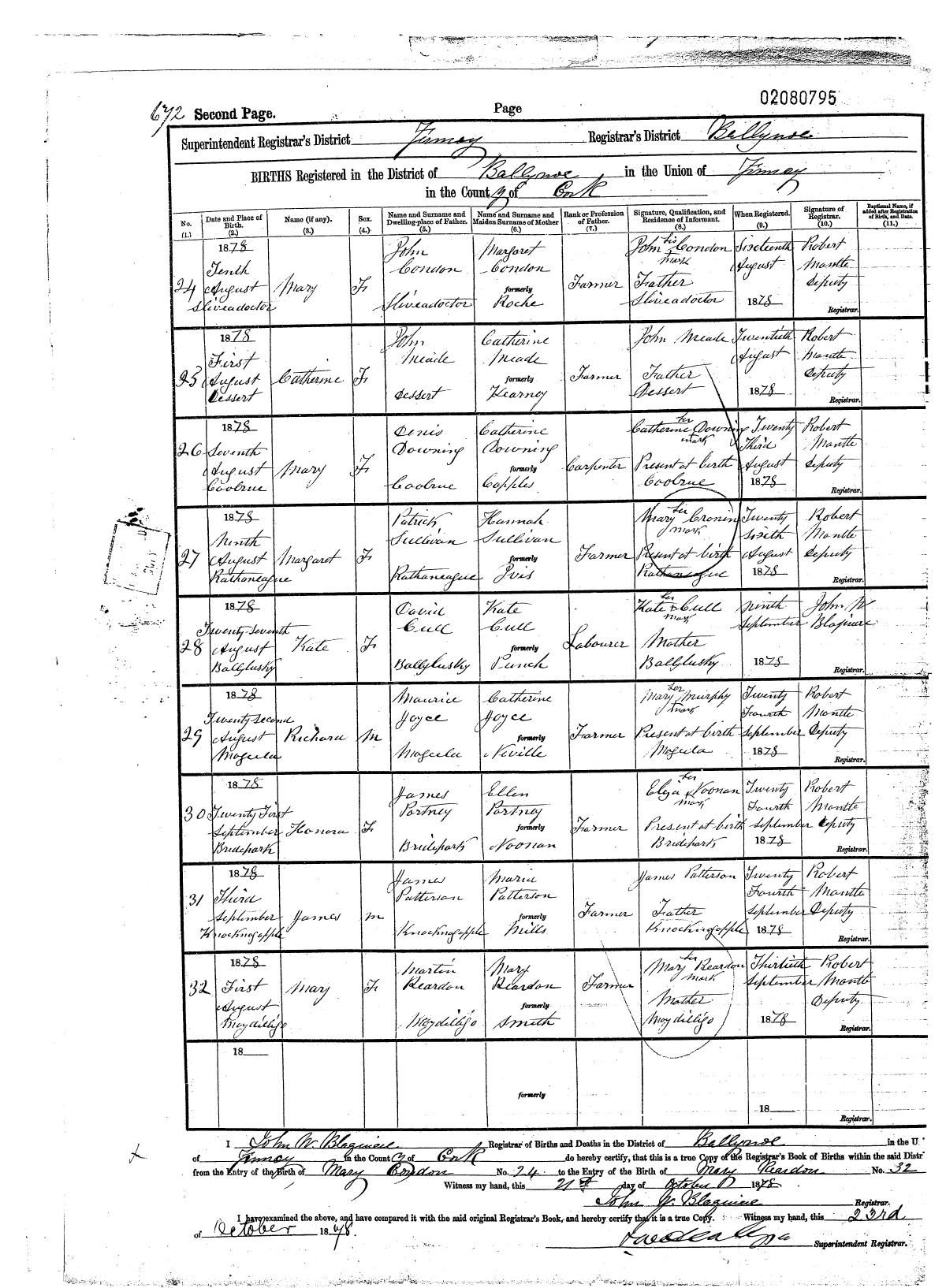 Civil birth register page, Mary Condon candidate, 1878, entry 2080795